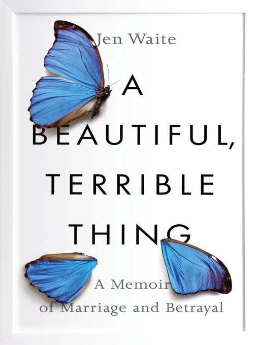 Cover image for A Beautiful, Terrible Thing